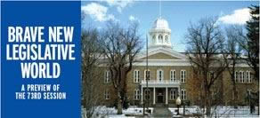 Brave New Legislative World