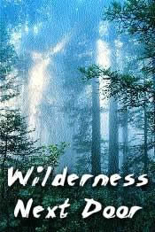 The Wilderness Next Door