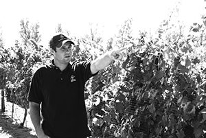 Meet Colby Frey, Owner of Churchill Vineyards, Frey Ranch