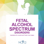 The NCJFCJ has released a new guide to assist judges and the legal community in understanding Fetal Alcohol Spectrum Disorders (FASD).