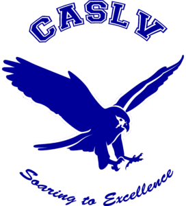 falcon logo BLUE w white outline_PNG-7bc7850c