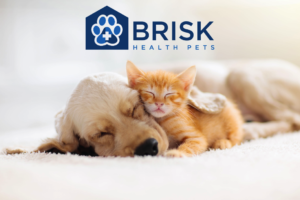 Brisk Health Pets-04e3cff2